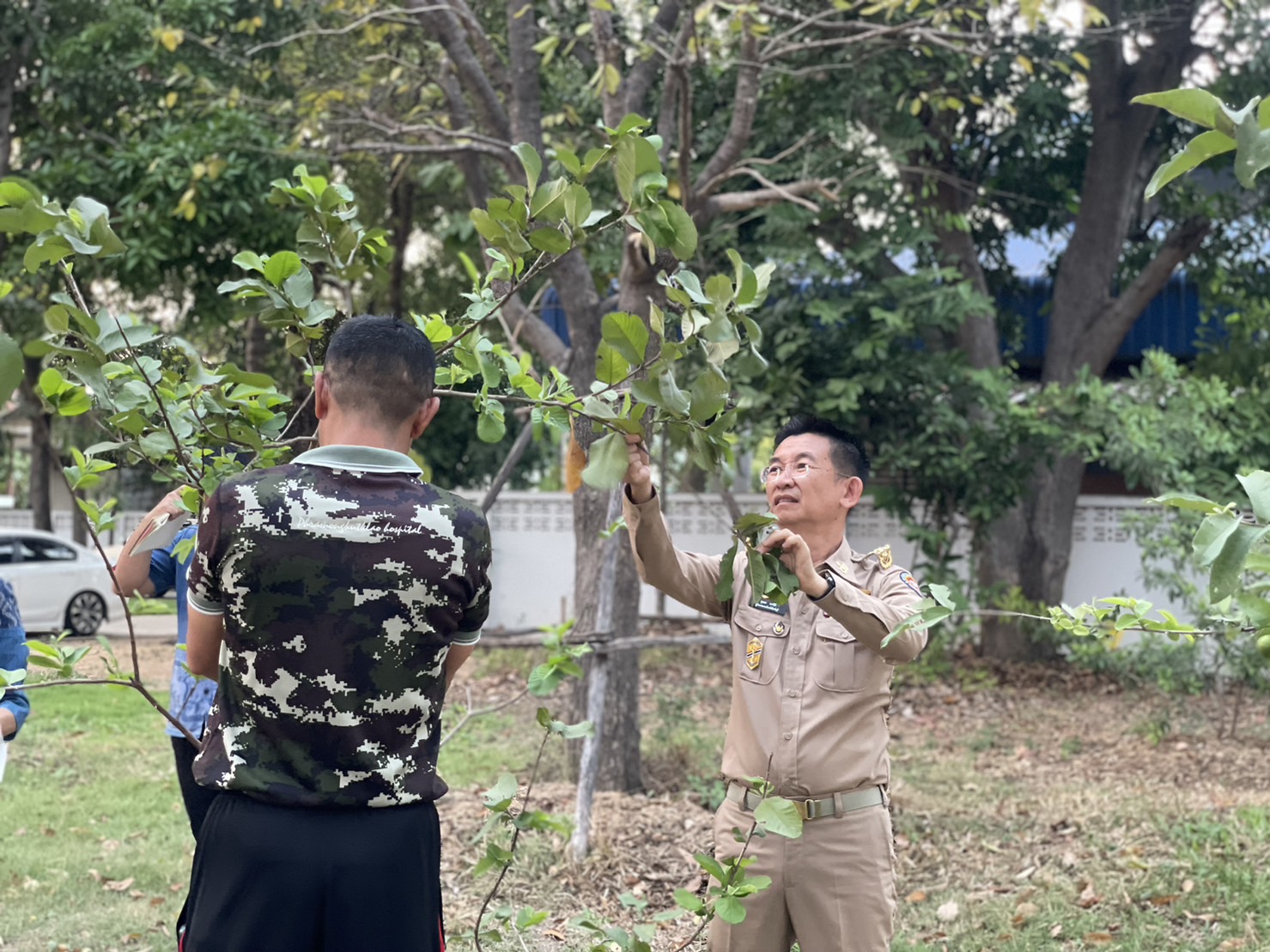 🌈 09/02/67 พช.สิงห์บุรี ลงพื้นที่เตรียมแปลงปลูกผัก จวนผู้ว่าราชการจังหวัดสิงห์บุรี ผู้นำต้นแบบ ตัวอย่างที่เห็นจริง ปลูกผักสวนครัว เพื่อสร้างความมั่นคงทางอาหาร