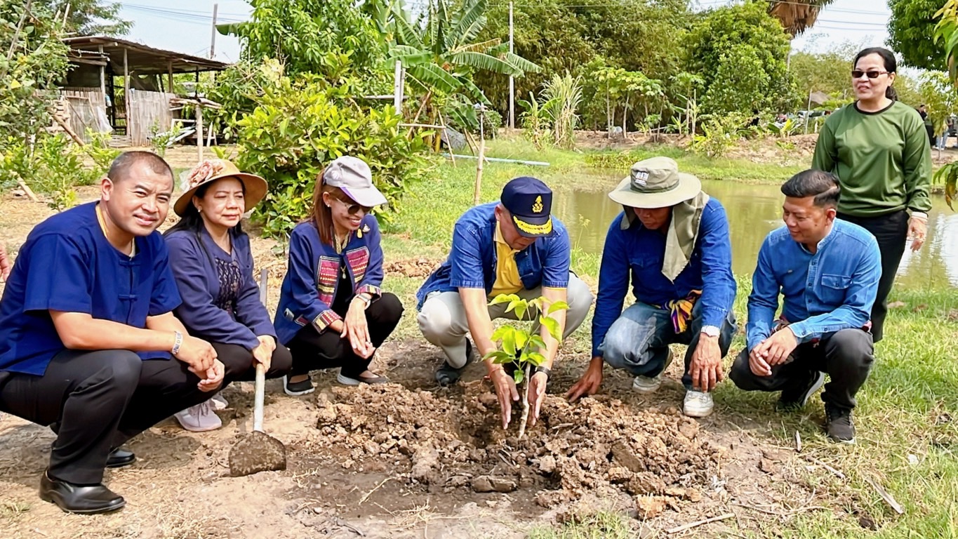 🌈 26/03/67 พช.สิงห์บุรี จัดกิจกรรมเอามื้อสามัคคี ศูนย์เรียนรู้ทฤษฎีใหม่รูปแบบ โคก หนอง นา (สวนสิงห์โต โคก หนอง นา)