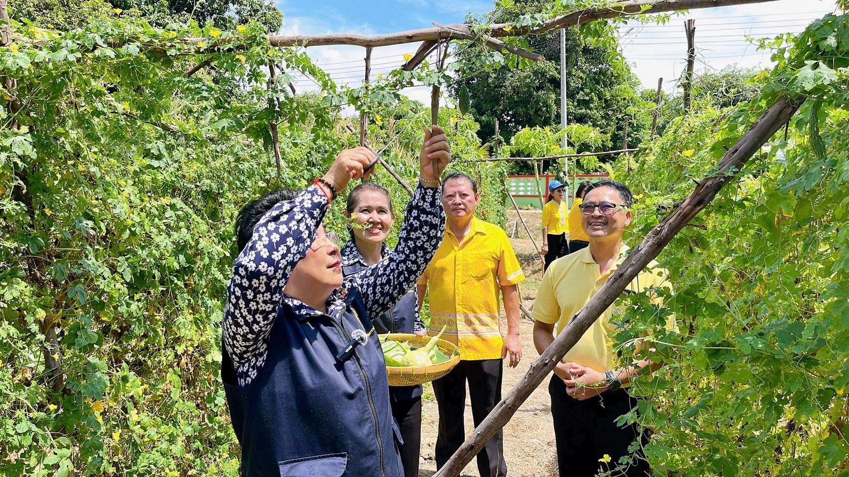 🌈 27/06/67 พช.สิงห์บุรี จัดกิจกรรม “เอามื้อสามัคคี การขับเคลื่อนกิจกรรม โคก หนอง นา อารยเกษตร”