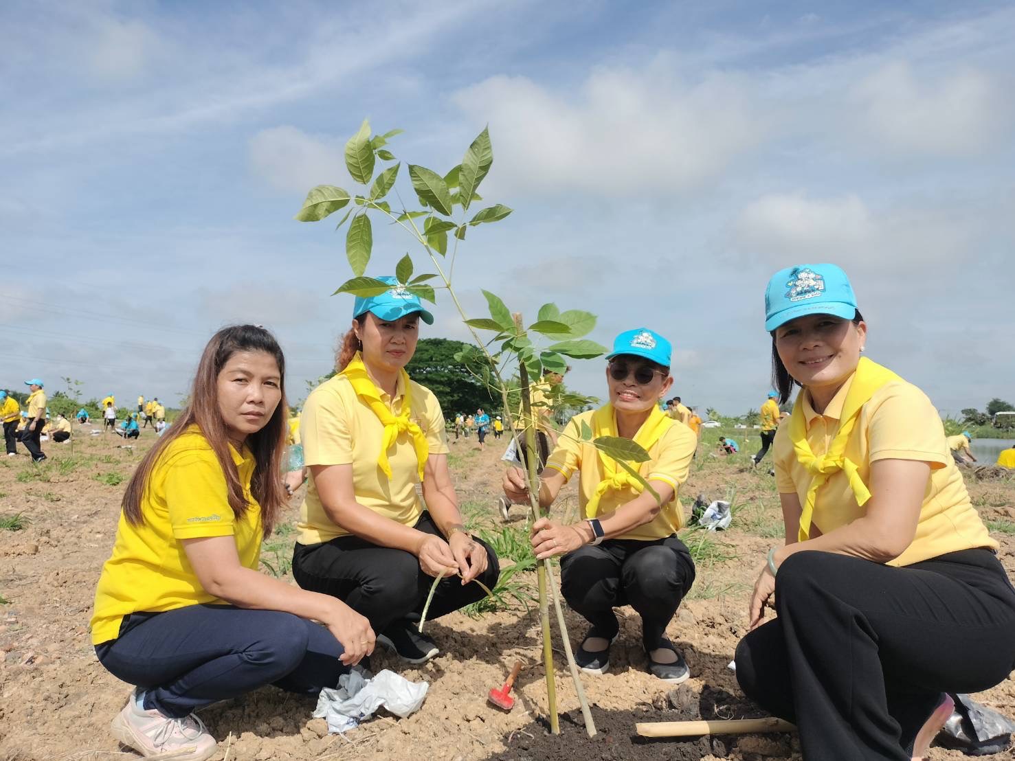 🌈 050767พช.สิงห์บุรี ร่วมกิจกรรมปลูกต้นไม้ เฉลิมพระเกียรติพระบาทสมเด็จพระเจ้าอยู่หัว เนื่องในโอกาสพระราชพิธีมหามงคลเฉลิมพระชนมพรรษา 6 รอบ 28 กรกฎาคม 2567