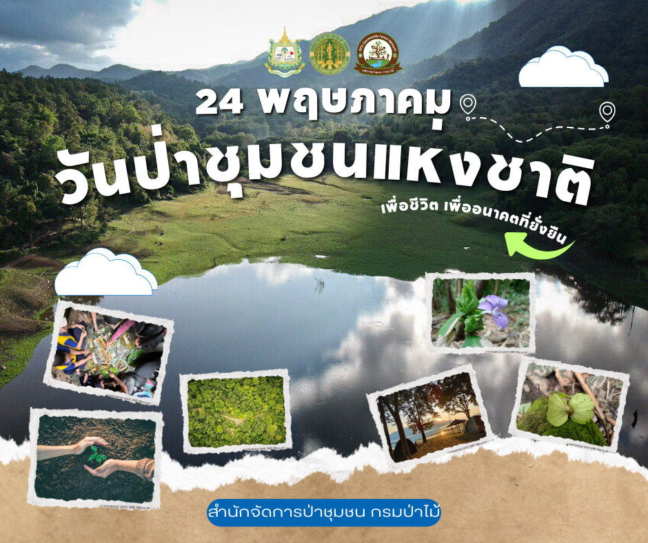 ประชาสัมพันธ์วันป่าชุมชนแห่งชาติ