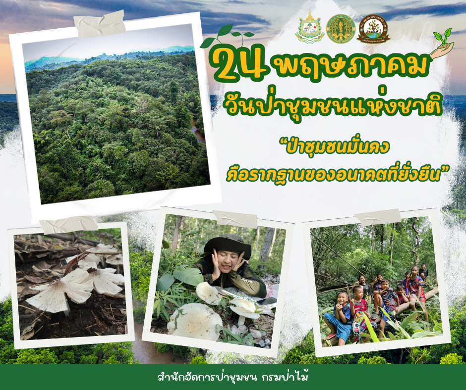 ประชาสัมพันธ์วันป่าชุมชนแห่งชาติ