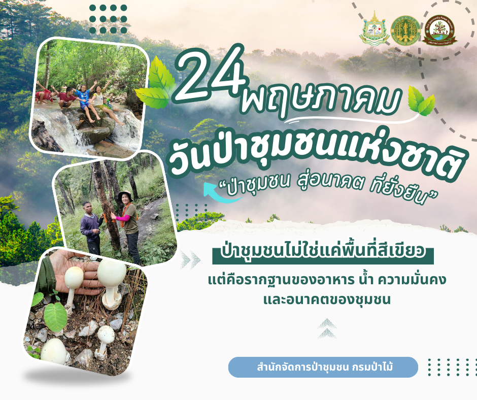 ประชาสัมพันธ์วันป่าชุมชนแห่งชาติ